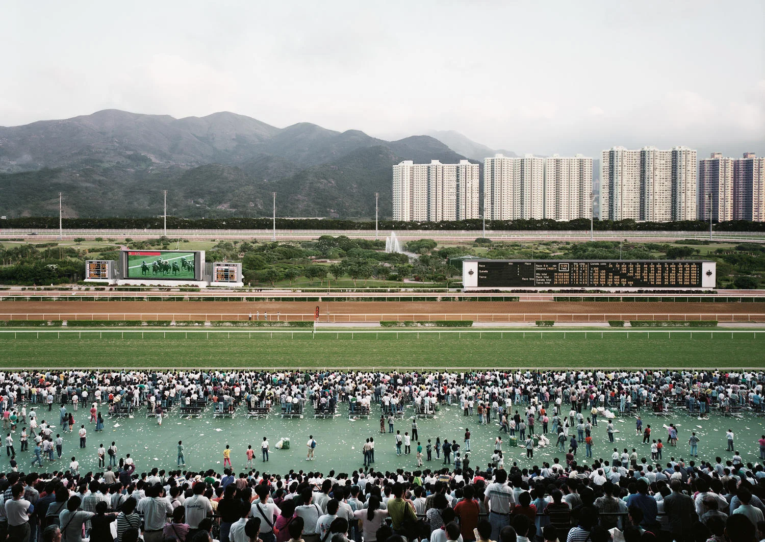 Andreas Gursky's Banded Composition - Horoma's Library - Obsidian